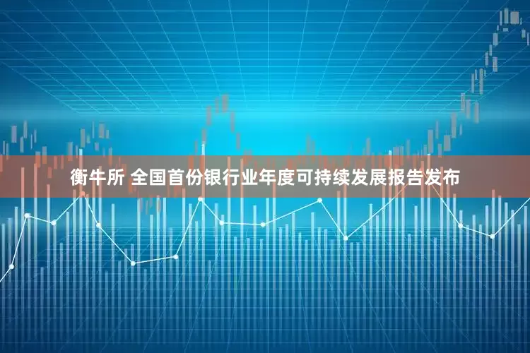 衡牛所 全国首份银行业年度可持续发展报告发布