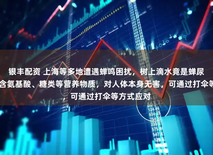银丰配资 上海等多地遭遇蝉鸣困扰，树上滴水竟是蝉尿？ 专家：含氨基酸、糖类等营养物质，对人体本身无害，可通过打伞等方式应对